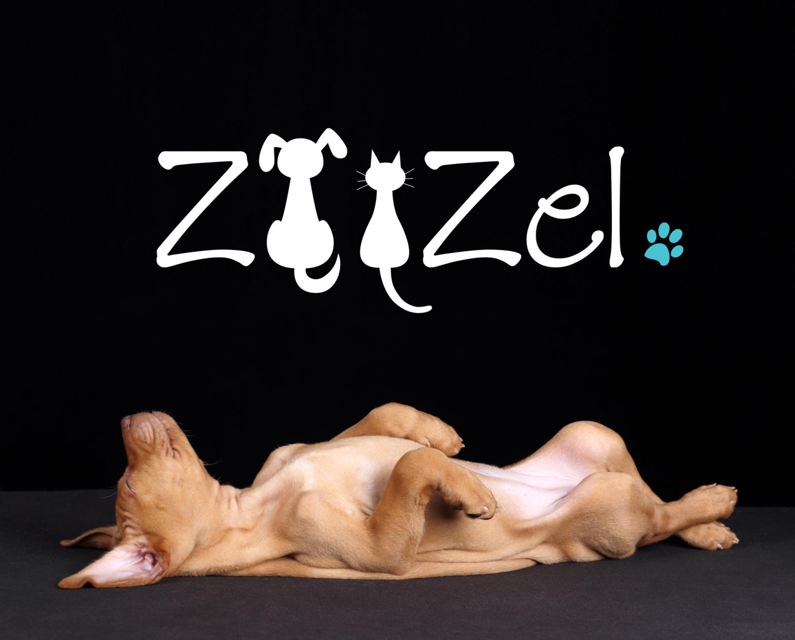 Zoozel